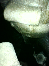 Image_2024-07-09 18_10_31_178.png